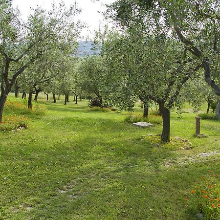 Residence Villa Adriana Sant'Angelo in Lizzola Экстерьер фото