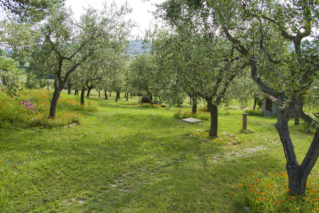 Residence Villa Adriana Sant'Angelo in Lizzola Экстерьер фото